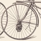 Velocipede Poster