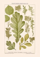 Natural Self Poster Natural Self Poster