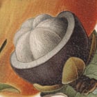 Tropical Fruits Poster Tropical Fruits Poster
