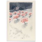Paysage rose Paysage rose
