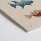 Illustration of three vibrant fish by Louis-Isidore Duperrey titled Voyage autour du monde Pl.017 Poster depicting three colorful fish illustrations from Voyage autour du monde Pl.017 by Louis-Isidore Duperrey.