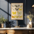 Illustration of exotic butterflies by Otto Staudinger titled Exotic Butterflies Pl.021 Poster depicting various species of butterflies titled Exotic butterflies Pl021 by Otto Staudinger in detailed colorful illustrations.