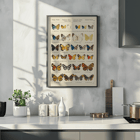 Colorful exotic butterflies illustrated by Otto Staudinger in Exotic butterflies Pl.093 Poster of various butterfly species in intricate detail titled Exotic butterflies Pl.093 by Otto Staudinger artist.