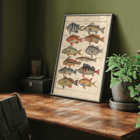 Colorful fish illustrations from General Natural History for All Classes PI.048 by Lorenz Oken Poster of various colorful fish illustrations by Lorenz Oken titled General Natural History for All Classes PI.048.