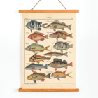 Colorful fish illustrations from General Natural History for All Classes PI.048 by Lorenz Oken Poster of various colorful fish illustrations by Lorenz Oken titled General Natural History for All Classes PI.048.