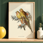 The Princess of Wales's Parakeet Polytelis Alexandrae artwork featuring two colorful birds on branches. Poster of The Princess of Waless Parakeet by Polytelis Alexandrae depicting colorful birds on branches with leaves