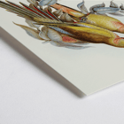 The Princess of Wales's Parakeet Polytelis Alexandrae artwork featuring two colorful birds on branches. Poster of The Princess of Waless Parakeet by Polytelis Alexandrae depicting colorful birds on branches with leaves