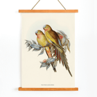 The Princess of Wales's Parakeet Polytelis Alexandrae artwork featuring two colorful birds on branches. Poster of The Princess of Waless Parakeet by Polytelis Alexandrae depicting colorful birds on branches with leaves