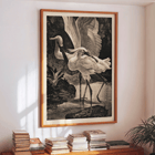 Egrets depicted in Lepelaars by Adriaan van Hoff artwork. Poster depicting spoonbills in a natural setting from the artwork Lepelaars by Adriaan van Hoff.