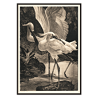 Egrets depicted in Lepelaars by Adriaan van Hoff artwork. Poster depicting spoonbills in a natural setting from the artwork Lepelaars by Adriaan van Hoff.