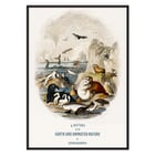 Terre et nature animée