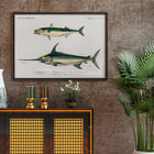 Different types of fishes Different types of fishes
