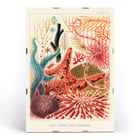 Farbenfrohe Darstellung der Stachelhäuter des Great Barrier Reef von William Saville-Kent vom Great Barrier Reef in Australien. Poster mit farbenfrohen Stachelhäutern vom Great Barrier Reef von William Saville-Kent mit dem Titel „Great Barrier Reef Echinoderms“.