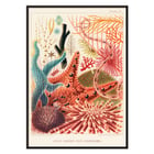 Farbenfrohe Darstellung der Stachelhäuter des Great Barrier Reef von William Saville-Kent vom Great Barrier Reef in Australien. Poster mit farbenfrohen Stachelhäutern vom Great Barrier Reef von William Saville-Kent mit dem Titel „Great Barrier Reef Echinoderms“.