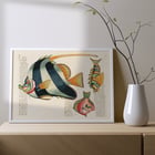 Colourful and surreal fish illustrations by Louis Renard from Histoire naturelle des plus rares curiositez de la mer des Indes. Poster with colourful surreal illustrations of fishes by Louis Renard from Histoire naturelle des plus rares curiositez de la mer des Indes