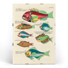 Colourful surreal illustrations of fishes from Moluccas and the East Indies by Louis Renard in Histoire naturelle des plus rares curiositez de la mer des Indes Poster featuring colourful and surreal illustrations of fishes by Louis Renard from Histoire naturelle des plus rares curiositez