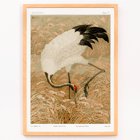 Sarus crane in a rice field by Samarai Poster of a Sarus crane standing in a rice field from the artwork titled Sarus crane in rice field by The Ornamental Arts Of Japan