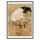 Sarus crane in a rice field by Samarai Poster of a Sarus crane standing in a rice field from the artwork titled Sarus crane in rice field by The Ornamental Arts Of Japan