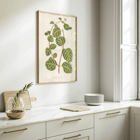 Botanical illustration of a Lonicera plant by Shirley Hibberd titled Lonicera Brachypoda Poster featuring botanical illustration of Lonicera Brachypoda by Shirley Hibberd showcasing green and yellow variegated leaves.