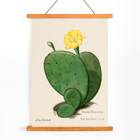 Indian fig opuntia cactus illustration by Karl Eduard Burger from artwork Familie Der Cacteen Poster featuring the artwork Indian fig opuntia cactus from Familie Der Cacteen depicting a green cactus with a yellow flower.
