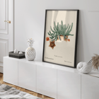 Botanical illustration of Starfish cactus from Familie Der Cacteen. Poster depicting the artwork Starfish Cactus from Familie Der Cacteen showing a green cactus with a detailed star-shaped flower