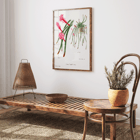 Rattail Cactus artwork by Famille Der Cacteen featuring pink flowers and cactus in a pot Poster featuring Rattail Cactus from Familie Der Cacteen with detailed illustrations of blooming red and pink flowers on cactus stems.