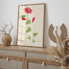 Botanical illustration of Passiflora coccinea by Red Granadilla from Familie Der Cacteen. Poster of a botanical illustration showing a red granadilla flower by Anonymous featuring green leaves and stems