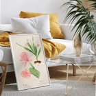 Illustration of German empress cactus from Familie Der Cacteen by Basel Basan Poster featuring German empress cactus artwork titled Phyllocactus by Basel Botan Garten with pink flowers and green leaves