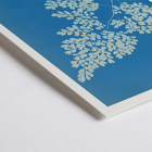 Anna Atkins cyanotype of Adiantum cuneatum blueprint botanical artwork. Poster featuring a cyanotype depiction of a fern titled Adiantum cuneatum by Anna Atkins on a blue background