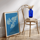 Anna Atkins cyanotype of Adiantum cuneatum blueprint botanical artwork. Poster featuring a cyanotype depiction of a fern titled Adiantum cuneatum by Anna Atkins on a blue background