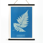 Botanical cyanotype artwork of a fern by Anna Atkins titled Lastrea Spinulosa A framed poster of a botanical illustration titled Lastrea Spinulosa by Anna Atkins showing a detailed fern leaf on a deep blue background.
