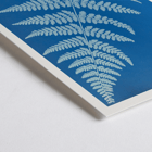Cyanotype fern artwork Lastrea dilatato by Anna Atkins Poster featuring Lastrea dilatato Cianotipia artwork by Anna Atkins displaying a fern leaf against a blue background