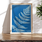 Cyanotype fern artwork Lastrea dilatato by Anna Atkins Poster featuring Lastrea dilatato Cianotipia artwork by Anna Atkins displaying a fern leaf against a blue background