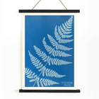 Cyanotype fern artwork Lastrea dilatato by Anna Atkins Poster featuring Lastrea dilatato Cianotipia artwork by Anna Atkins displaying a fern leaf against a blue background