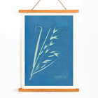 Cyanotype of grass-like plant Uvena Novae Villiae by Anna Atkins Poster of Uvena Novae Villiae artwork by Anna Atkins featuring a cyanotype of a plant on a blue background