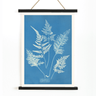 Botanical cyanotype art by Anna Atkins titled Ceylon A botanical print poster titled Ceylon by Cianotipia Anna Atkins featuring delicate white fern leaves against a blue background.