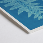 Fern Cianotipia by Anna Atkins botanical cyanotype artwork. Poster showing Fern Cianotipia artwork by Anna Atkins featuring a detailed cyanotype image of a fern against a blue background.