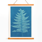 Fern Cianotipia by Anna Atkins botanical cyanotype artwork. Poster showing Fern Cianotipia artwork by Anna Atkins featuring a detailed cyanotype image of a fern against a blue background.