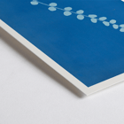 Botanical cyanotype print of Pteris rotundifolia by Anna Atkins Poster of a botanical cyanotype depicting a light blue fern leaf on a dark blue background titled Pteris rotundifolia by Anna Atkins