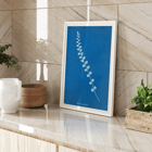 Botanical cyanotype print of Pteris rotundifolia by Anna Atkins Poster of a botanical cyanotype depicting a light blue fern leaf on a dark blue background titled Pteris rotundifolia by Anna Atkins