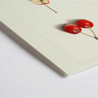 Artwork by Ellen Isham Schutt depicting Malus Cherry Crab with two whole cherries and one sliced in half Poster of Malus: Cherry Crab by Ellen Isham Schutt featuring a watercolor illustration of whole and halved cherries.