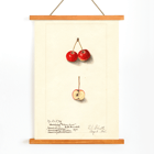 Artwork by Ellen Isham Schutt depicting Malus Cherry Crab with two whole cherries and one sliced in half Poster of Malus: Cherry Crab by Ellen Isham Schutt featuring a watercolor illustration of whole and halved cherries.