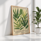Botanical illustration of Japanese bamboo leaves by Yasuyoshi Shirasawa titled Icones of the bamboos of Japan Nihon chikurui zufu Pl.06 Poster depicting various species of bamboo with green leaves Icones of the bamboos of Japan – Nihon chikurui zufu Pl.06 by Yasuyoshi Shirasawa
