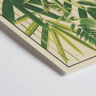 Botanical illustration of Japanese bamboo leaves by Yasuyoshi Shirasawa titled Icones of the bamboos of Japan Nihon chikurui zufu Pl.06 Poster depicting various species of bamboo with green leaves Icones of the bamboos of Japan – Nihon chikurui zufu Pl.06 by Yasuyoshi Shirasawa