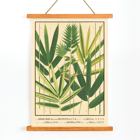 Botanical illustration of Japanese bamboo leaves by Yasuyoshi Shirasawa titled Icones of the bamboos of Japan Nihon chikurui zufu Pl.06 Poster depicting various species of bamboo with green leaves Icones of the bamboos of Japan – Nihon chikurui zufu Pl.06 by Yasuyoshi Shirasawa