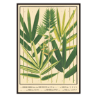 Botanical illustration of Japanese bamboo leaves by Yasuyoshi Shirasawa titled Icones of the bamboos of Japan Nihon chikurui zufu Pl.06 Poster depicting various species of bamboo with green leaves Icones of the bamboos of Japan – Nihon chikurui zufu Pl.06 by Yasuyoshi Shirasawa