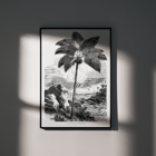 Illustration of a palm tree by Oswald de Kerchove de Denterghem from Les Palmiers Histoire Iconographique Poster of a palm tree by the sea from Les Palmiers Histoire Iconographique by Oswald de Kerchove de Denterghem.