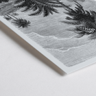 Illustration of palm trees by Oswald de Kerchove de Denterghem from Les Palmiers Histoire Iconographique 2 Poster featuring a detailed black and white illustration of palm trees by Oswald de Kerchove de Denterghem Les Palmiers Histoire Iconographique