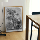 Palm trees in tropical forest illustration by Oswald de Kerchove de Denterghem Les Palmiers Histoire Iconographique 1 Poster titled Les Palmiers Histoire Iconographique by Oswald de Kerchove de Denterghem depicting palm trees in a tropical forest.