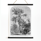Palm trees in tropical forest illustration by Oswald de Kerchove de Denterghem Les Palmiers Histoire Iconographique 1 Poster titled Les Palmiers Histoire Iconographique by Oswald de Kerchove de Denterghem depicting palm trees in a tropical forest.